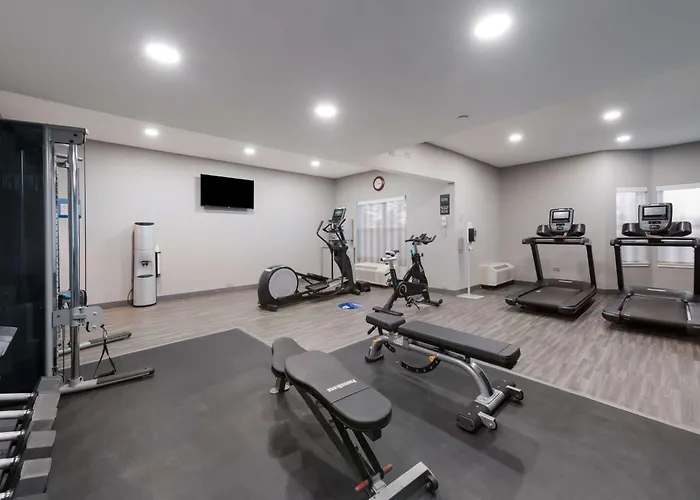 Hotel Hampton Inn&suites Chicago-hoffman Estates