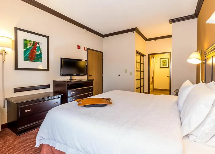 Hampton Inn&suites Chicago-hoffman Estates