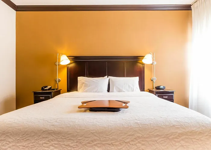 Hotel Hampton Inn&suites Chicago-hoffman Estates