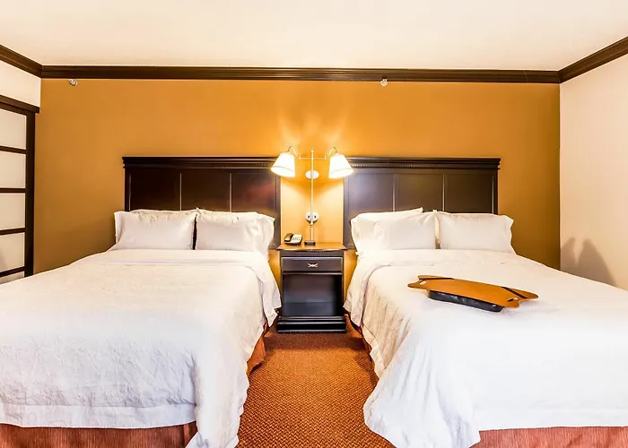 Hampton Inn&suites Chicago-hoffman Estates 3*